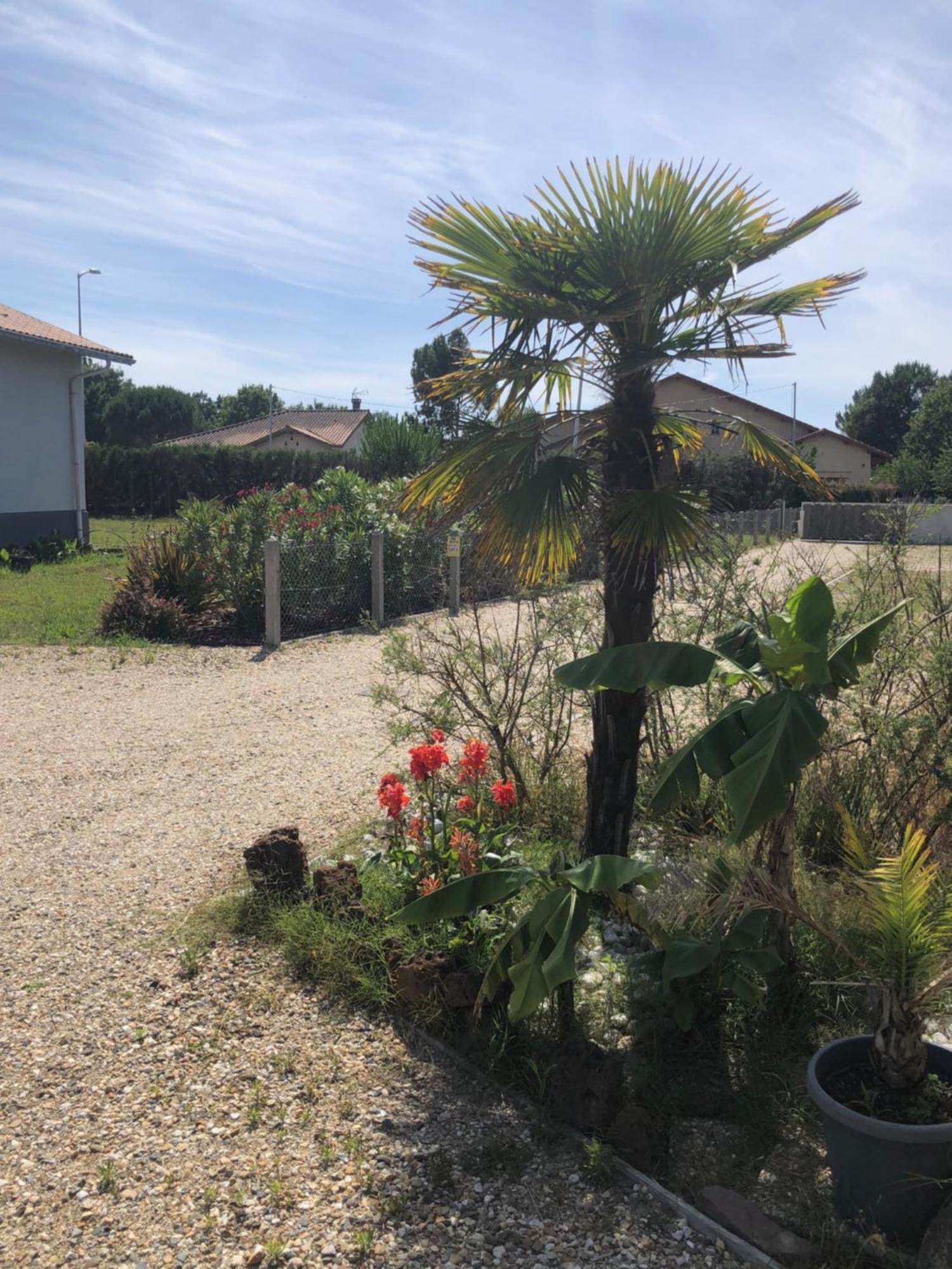 Les Logis D'Argent Studio Independant Parking Entree Autonome Linge De Lit Et Serviettes Wifi Fibre Tv Connectee 미미장플라즈 외부 사진